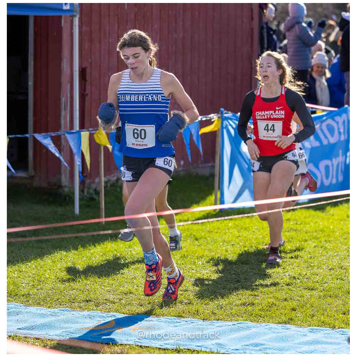 231111 XC New England Championships Belfast 102 U1A5856 – New England Cross Country Championships – Nov 11, 2023 – bib #102