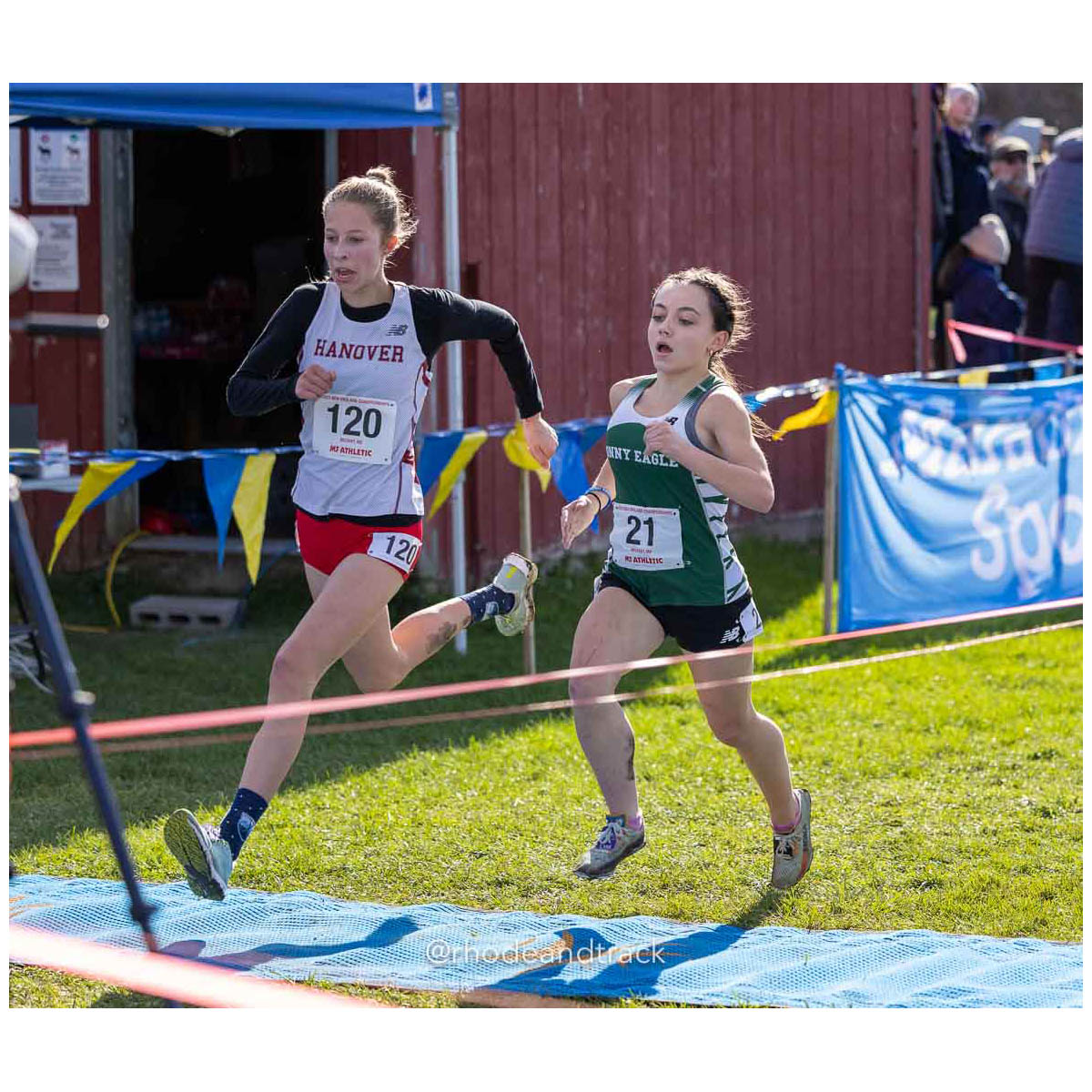 231111 XC New England Championships Belfast 115 U1A5981 – New England Cross Country Championships – Nov 11, 2023 – bib #115