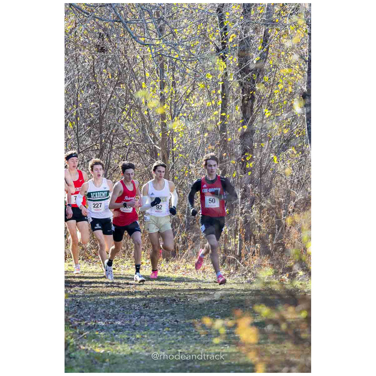 231111 XC New England Championships Belfast 195 P0A4940 – New England Cross Country Championships – Nov 11, 2023 – bib #195
