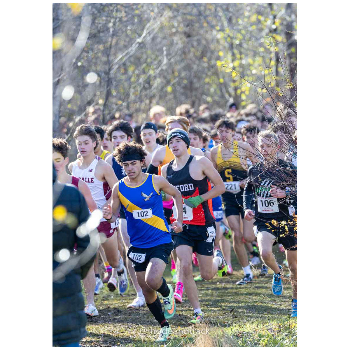 231111 XC New England Championships Belfast 204 P0A5005 – New England Cross Country Championships – Nov 11, 2023 – bib #204