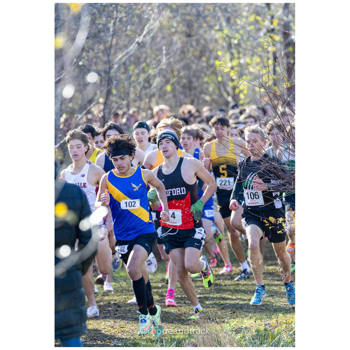 231111 XC New England Championships Belfast 205 P0A5006 – New England Cross Country Championships – Nov 11, 2023 – bib #205