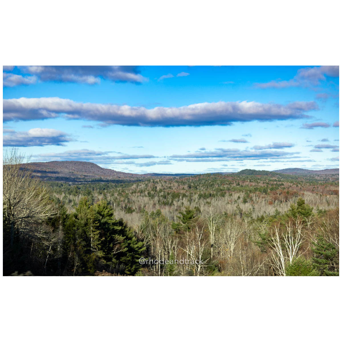 231111 XC New England Championships Belfast 316 U1A8018 – New England Cross Country Championships – Nov 11, 2023 – bib #316