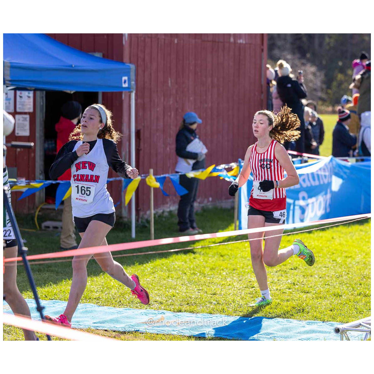 231111 XC New England Championships Belfast 59 U1A5521 – New England Cross Country Championships – Nov 11, 2023 – bib #59