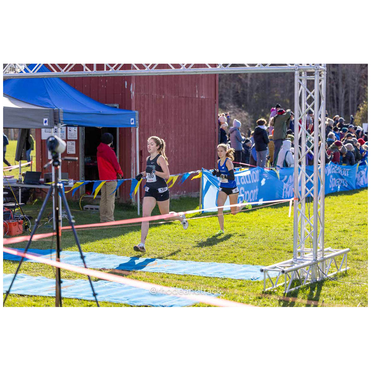 231111 XC New England Championships Belfast 84 U1A5687 – New England Cross Country Championships – Nov 11, 2023 – bib #84