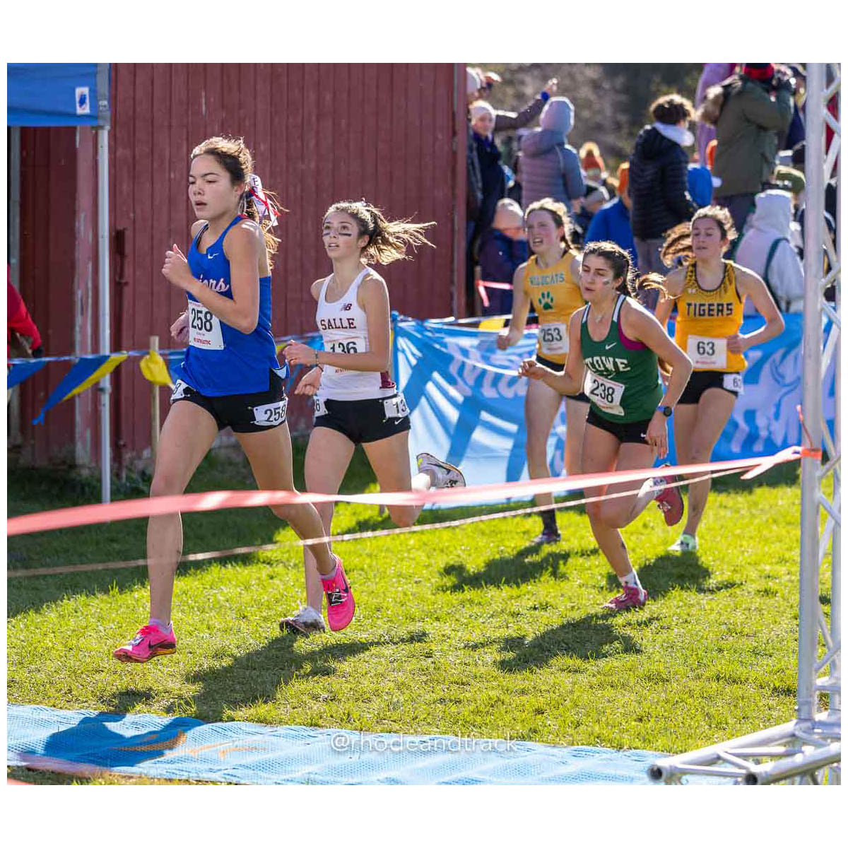 231111 XC New England Championships Belfast 87 U1A5729 – New England Cross Country Championships – Nov 11, 2023 – bib #87