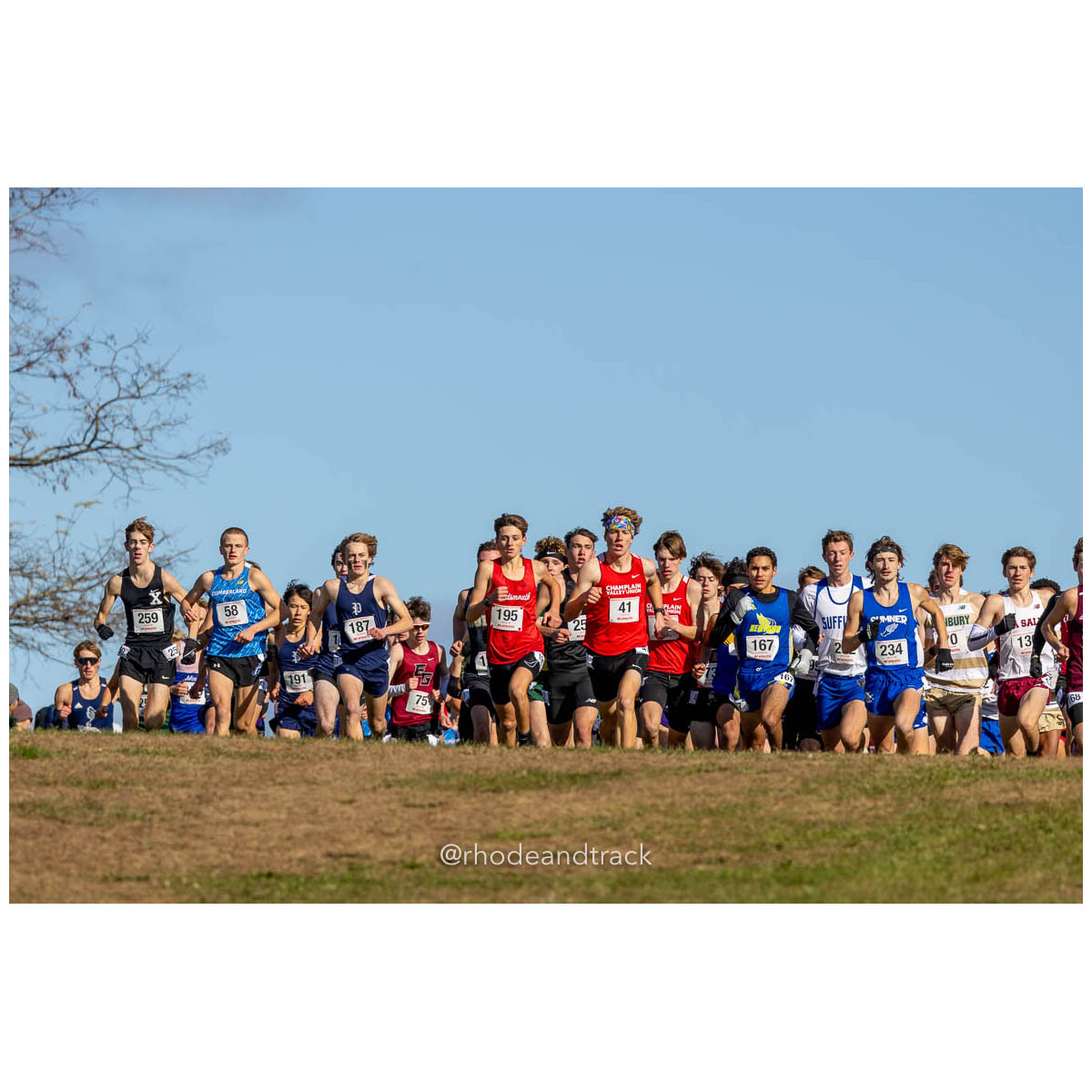 231111 XC New England Championships Belfast 184 P0A4872 File: ./dir-Boys-Race/231111-XC-New-England-Championships-Belfast-184-_P0A4872.jpg 231111 XC New England Championships Belfast 184 P0A4872 – New England Cross Country Championships – Nov 11, 2023 – bib #184