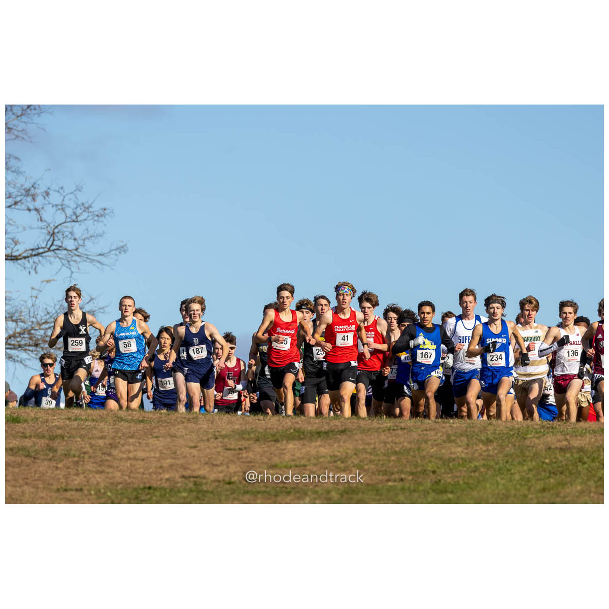 231111 XC New England Championships Belfast 185 P0A4873 File: ./dir-Boys-Race/231111-XC-New-England-Championships-Belfast-185-_P0A4873.jpg 231111 XC New England Championships Belfast 185 P0A4873 – New England Cross Country Championships – Nov 11, 2023 – bib #185