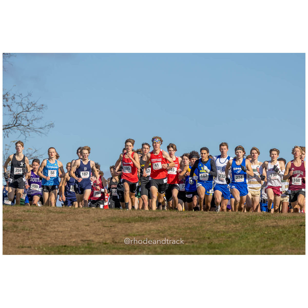 231111 XC New England Championships Belfast 186 P0A4877 File: ./dir-Boys-Race/231111-XC-New-England-Championships-Belfast-186-_P0A4877.jpg 231111 XC New England Championships Belfast 186 P0A4877 – New England Cross Country Championships – Nov 11, 2023 – bib #186