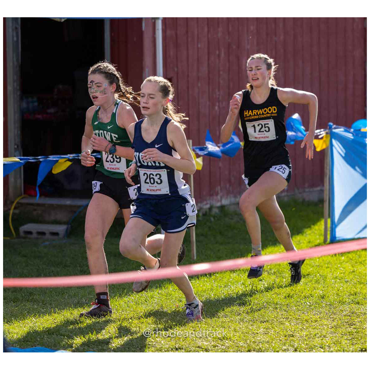 231111 XC New England Championships Belfast 156 U1A6356 File: ./dir-Girls-Race/231111-XC-New-England-Championships-Belfast-156-_U1A6356.jpg 231111 XC New England Championships Belfast 156 U1A6356 – New England Cross Country Championships – Nov 11, 2023 – bib #156