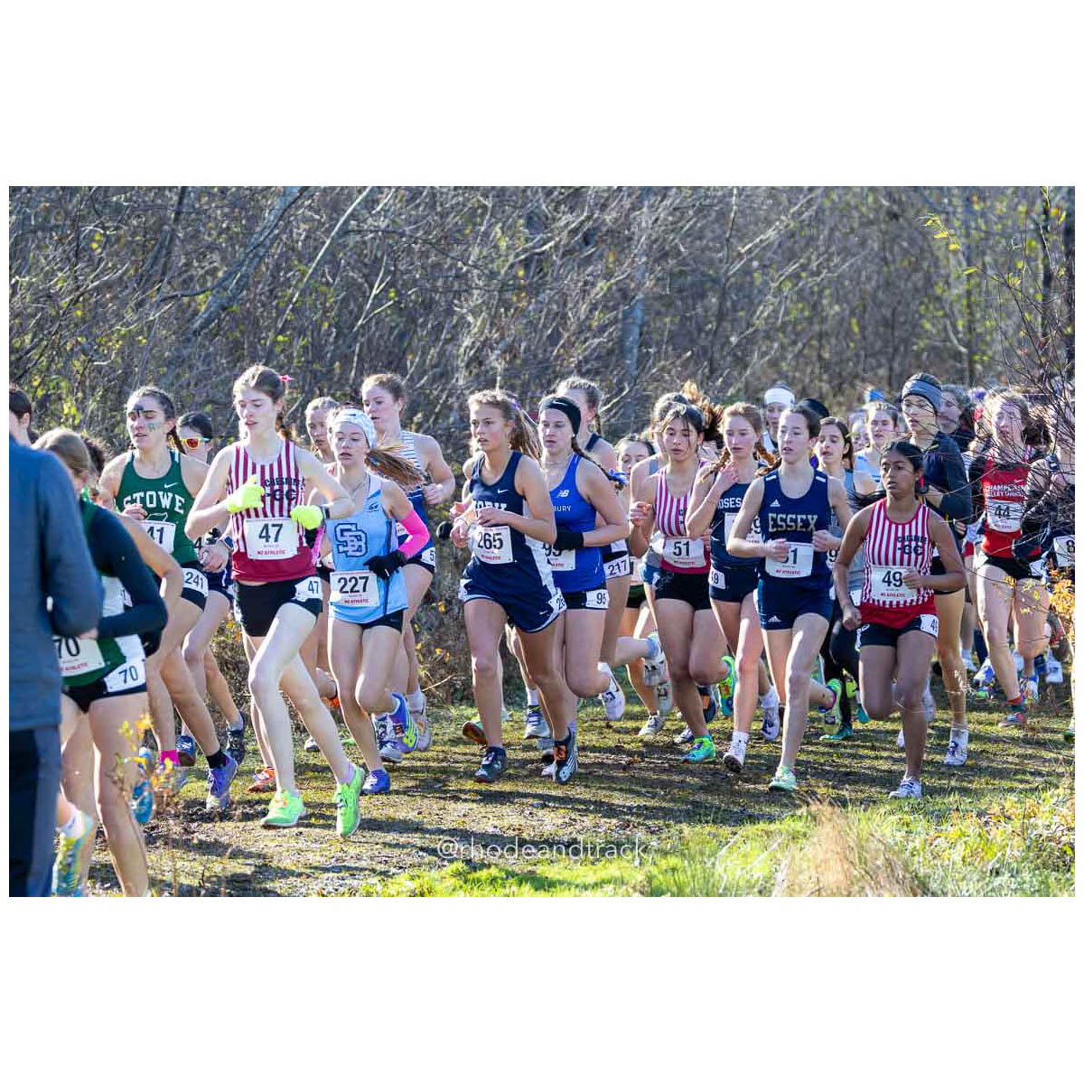 231111 XC New England Championships Belfast 28 P0A4464 – New England Cross Country Championships – Nov 11, 2023 – bib #28