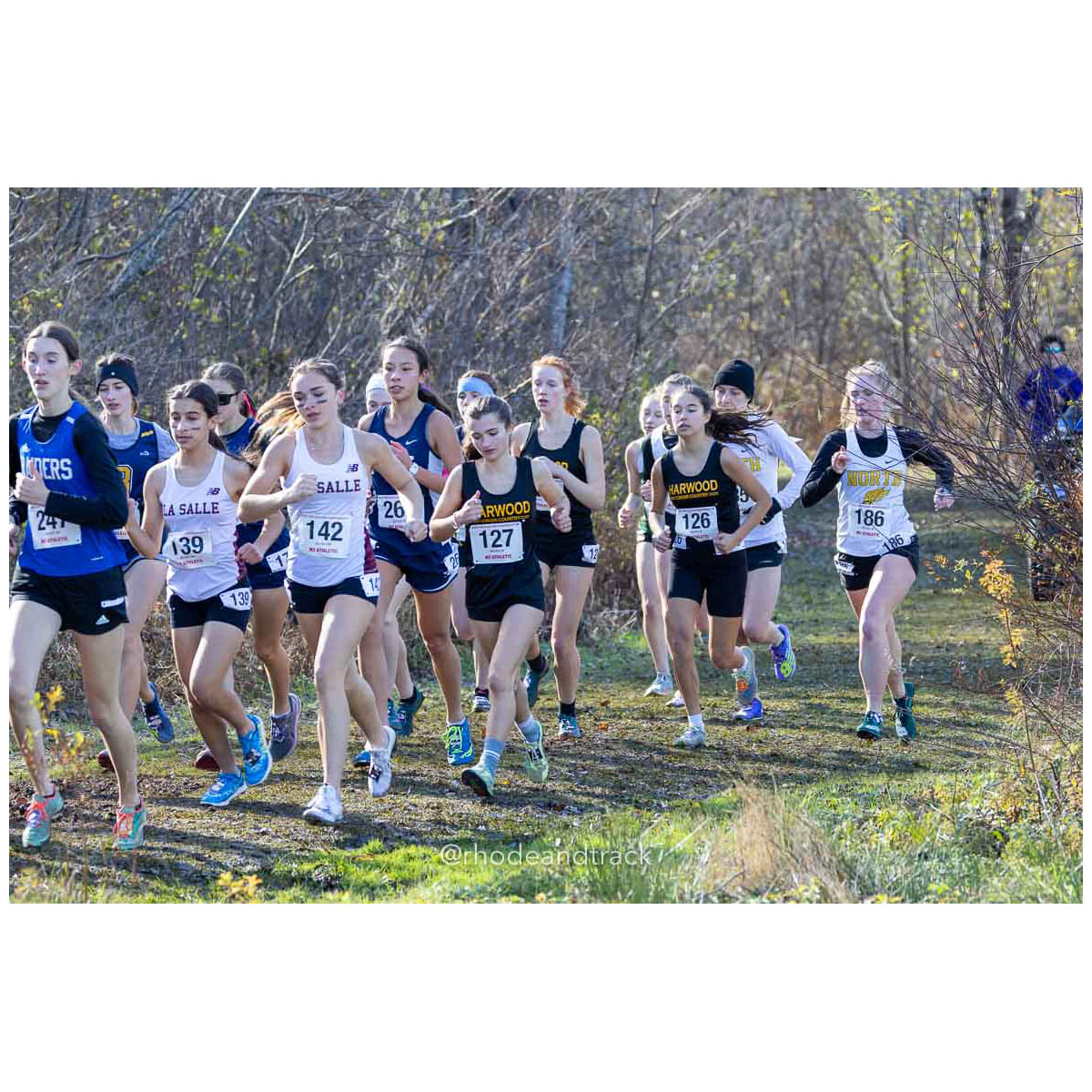 231111 XC New England Championships Belfast 29 P0A4482 – New England Cross Country Championships – Nov 11, 2023 – bib #29