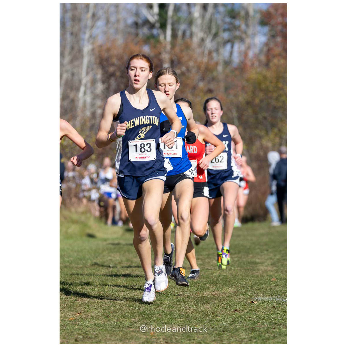 231111 XC New England Championships Belfast 33 P0A4522 – New England Cross Country Championships – Nov 11, 2023 – bib #33