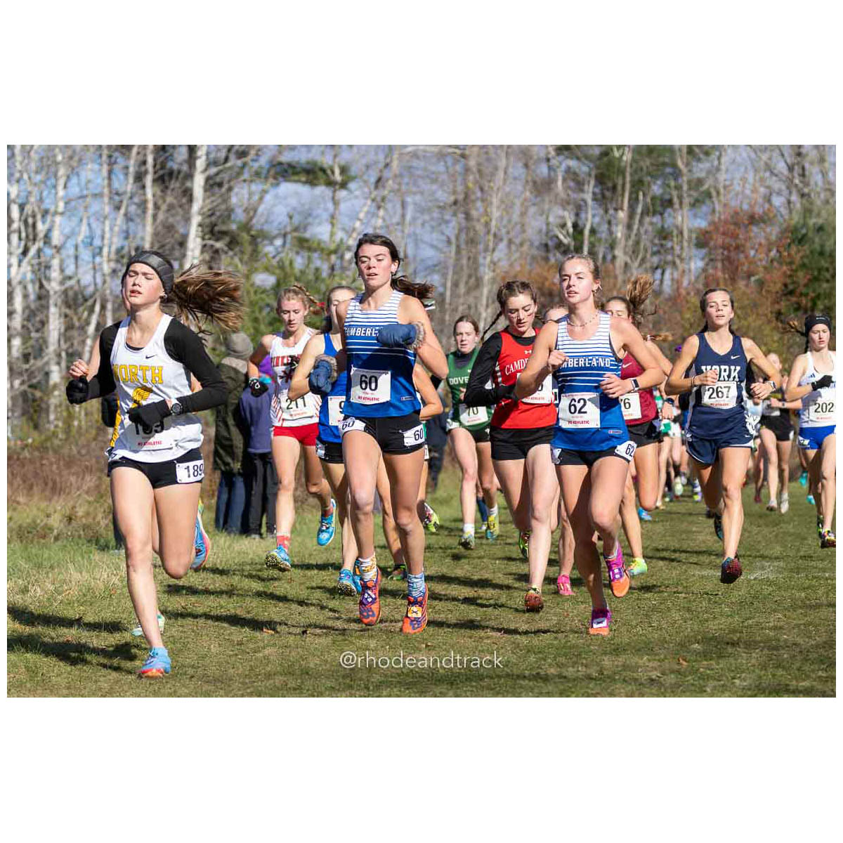 231111 XC New England Championships Belfast 39 P0A4592 – New England Cross Country Championships – Nov 11, 2023 – bib #39