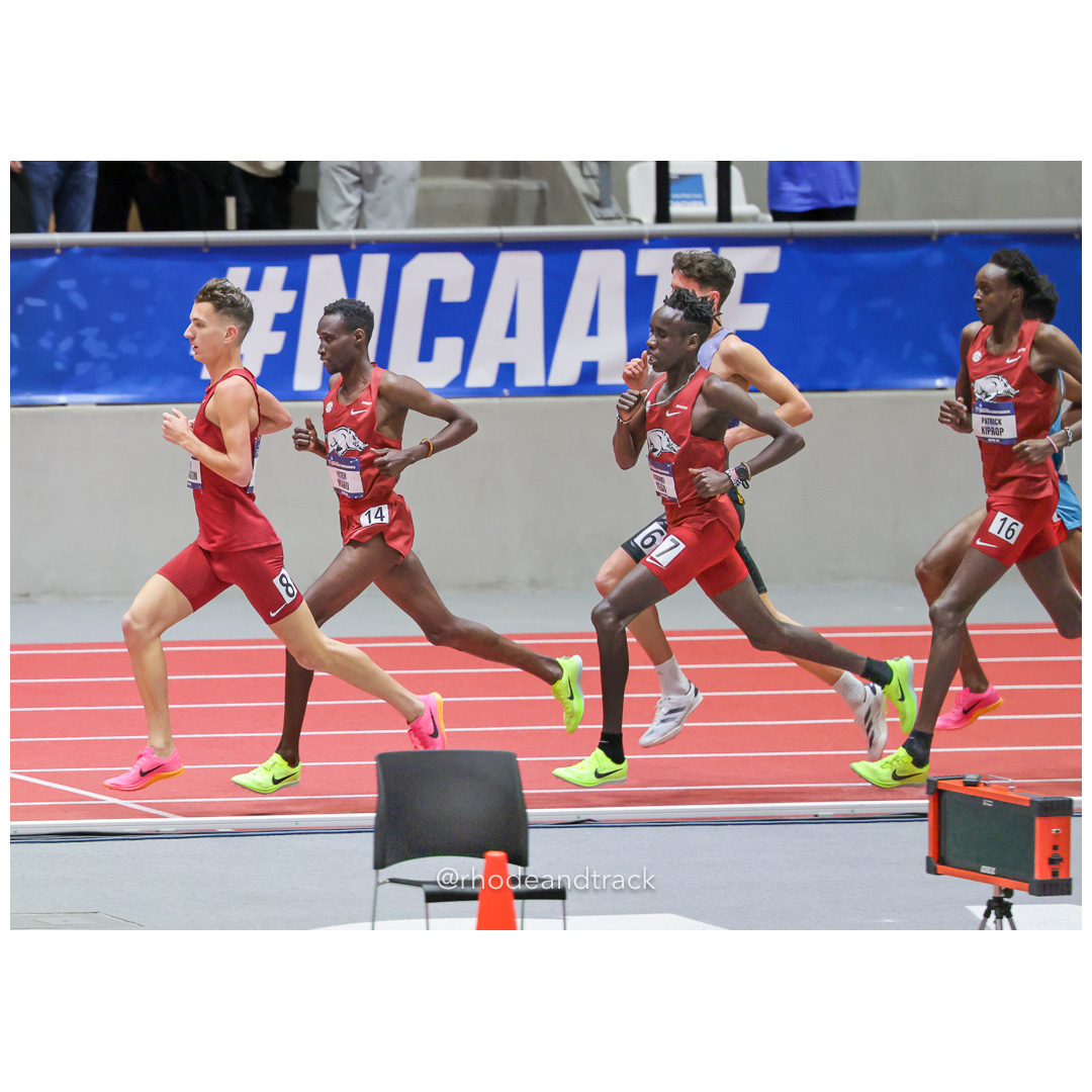 240308 rhodeandtrack ncaa d1 finals boston 309 R62 6648 File: ./dir-1-All/240308-rhodeandtrack-ncaa-d1-finals-boston-309-R62_6648.jpg 240308 rhodeandtrack ncaa d1 finals boston 309 R62 6648 – NCAA Division 1 Indoor Track And Field Championships – Boston, MA – bib #309