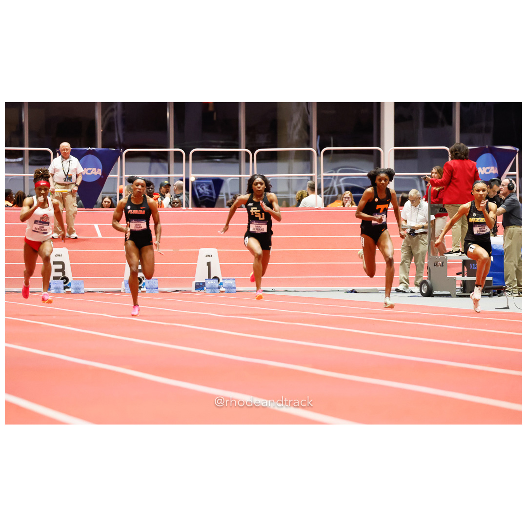 240308 rhodeandtrack ncaa d1 finals boston 541 92A3779 File: ./dir-1-All/240308-rhodeandtrack-ncaa-d1-finals-boston-541-_92A3779.jpg 240308 rhodeandtrack ncaa d1 finals boston 541 92A3779 – NCAA Division 1 Indoor Track And Field Championships – Boston, MA – bib #541