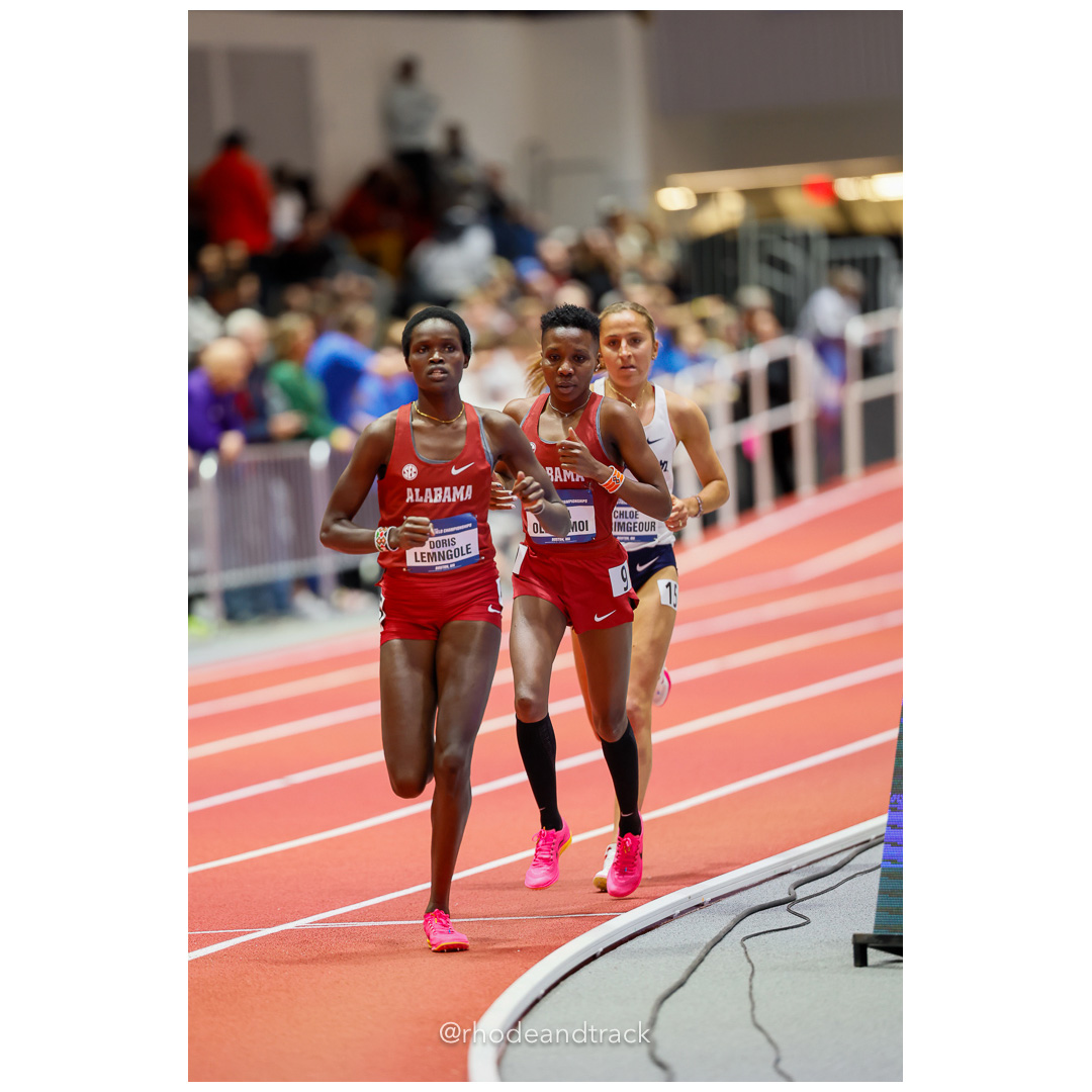 240308 rhodeandtrack ncaa d1 finals boston 655 92A5618 File: ./dir-1-All/240308-rhodeandtrack-ncaa-d1-finals-boston-655-_92A5618.jpg 240308 rhodeandtrack ncaa d1 finals boston 655 92A5618 – NCAA Division 1 Indoor Track And Field Championships – Boston, MA – bib #655