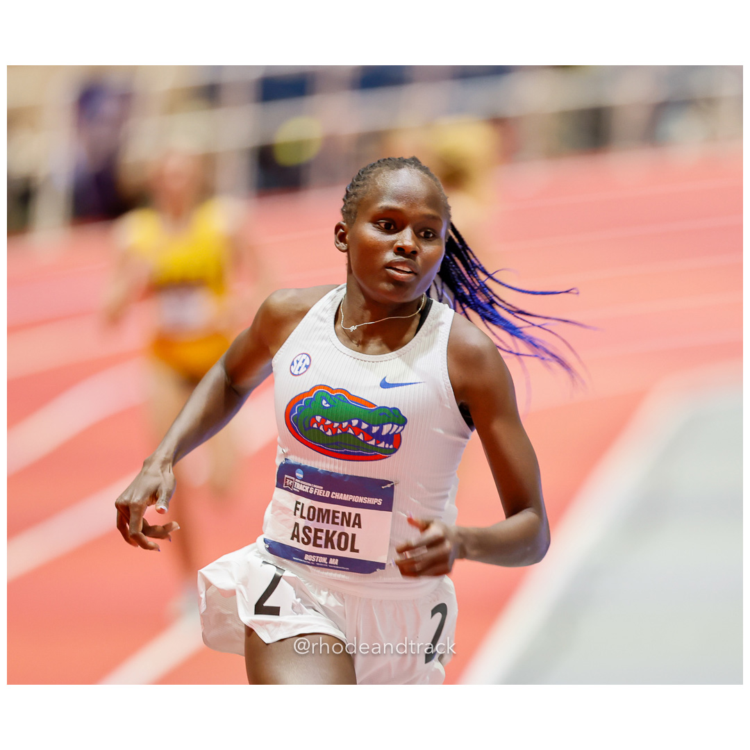 240309 rhodeandtrack ncaa d1 finals boston 815 92A3370 File: ./dir-1-All/240309-rhodeandtrack-ncaa-d1-finals-boston-815-_92A3370.jpg 240309 rhodeandtrack ncaa d1 finals boston 815 92A3370 – NCAA Division 1 Indoor Track And Field Championships – Boston, MA – bib #815