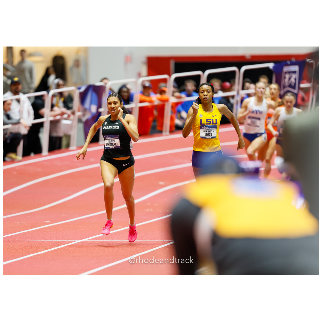 240309 rhodeandtrack ncaa d1 finals boston 882 92A4348 File: ./dir-1-All/240309-rhodeandtrack-ncaa-d1-finals-boston-882-_92A4348.jpg 240309 rhodeandtrack ncaa d1 finals boston 882 92A4348 – NCAA Division 1 Indoor Track And Field Championships – Boston, MA – bib #882