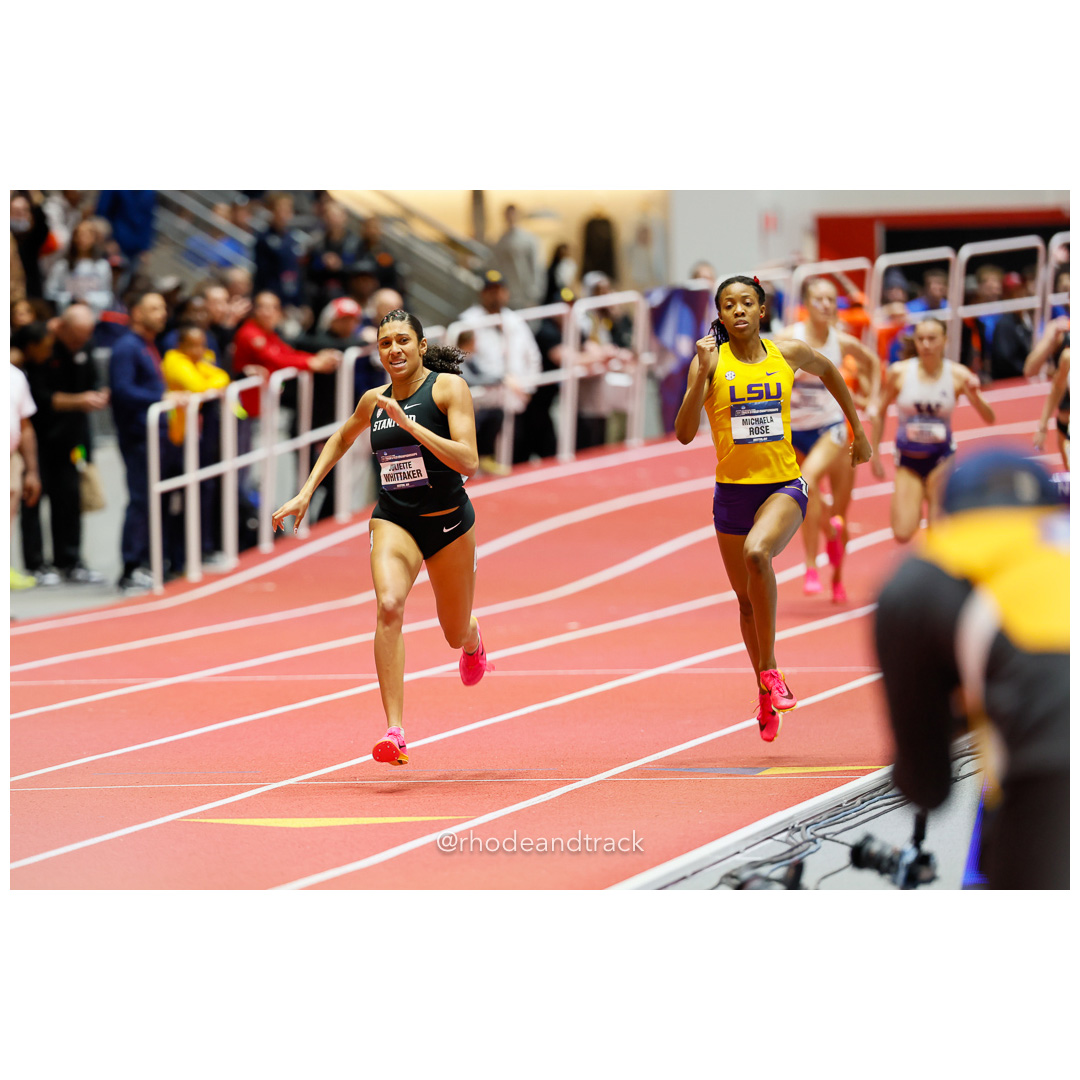 240309 rhodeandtrack ncaa d1 finals boston 883 92A4366 File: ./dir-1-All/240309-rhodeandtrack-ncaa-d1-finals-boston-883-_92A4366.jpg 240309 rhodeandtrack ncaa d1 finals boston 883 92A4366 – NCAA Division 1 Indoor Track And Field Championships – Boston, MA – bib #883