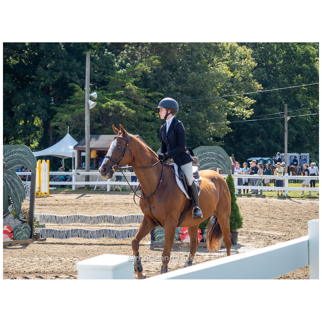 Connecticut Horse Show Association CHSA Finals - Westbrook, CT - August 25, 2024 File: ./240824-CHSA-Finals-Westbrook-Hunt-Club-August-25-2024-westbrook-connecticut-50-_8242093.jpg Connecticut Horse Show Association CHSA Finals - Westbrook, CT - August 25, 2024 – Gallery – bib #25