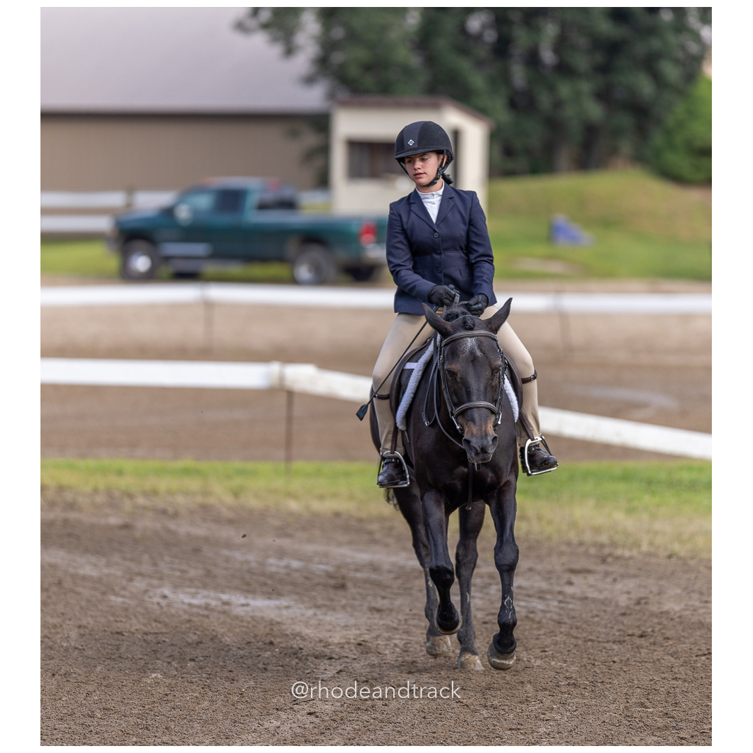 Connecticut Horse Show Association CHSA Finals - Westbrook, CT - August 25, 2024 File: ./240825-CHSA-Finals-Westbrook-Hunt-Club-August-25-2024-westbrook-connecticut-14-_U1A0570.jpg Connecticut Horse Show Association CHSA Finals - Westbrook, CT - August 25, 2024 – Gallery – bib #25