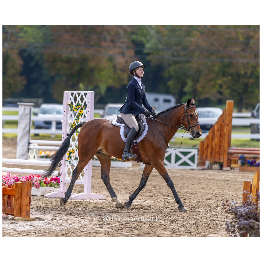 Connecticut Horse Show Association CHSA Finals - Westbrook, CT - August 25, 2024 File: ./240825-CHSA-Finals-Westbrook-Hunt-Club-August-25-2024-westbrook-connecticut-38-_U1A1051.jpg Connecticut Horse Show Association CHSA Finals - Westbrook, CT - August 25, 2024 – Gallery – bib #25