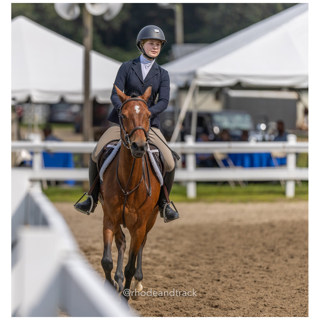 Connecticut Horse Show Association CHSA Finals - Westbrook, CT - August 25, 2024 File: ./240825-CHSA-Finals-Westbrook-Hunt-Club-August-25-2024-westbrook-connecticut-41-_U1A1207.jpg Connecticut Horse Show Association CHSA Finals - Westbrook, CT - August 25, 2024 – Gallery – bib #25