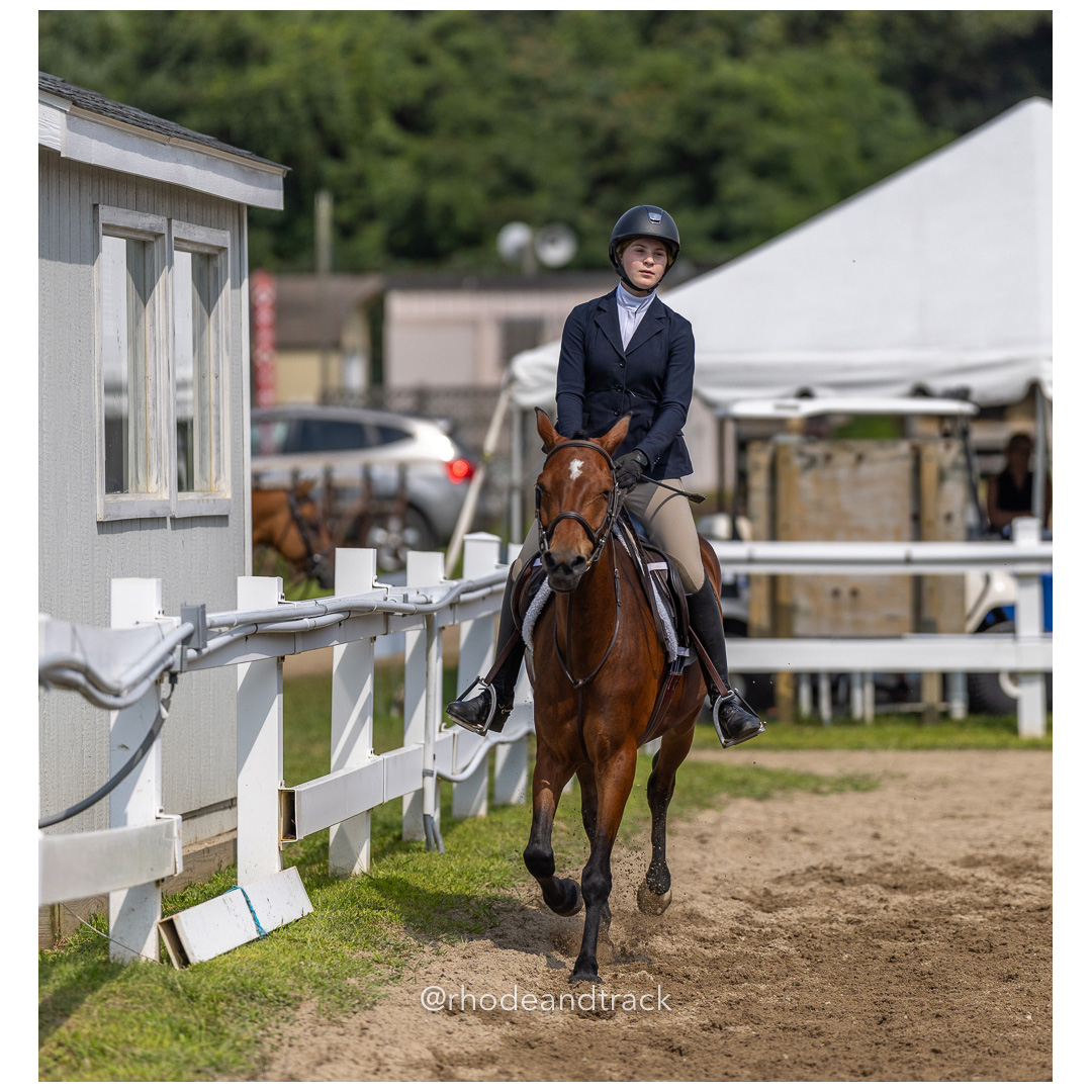 Connecticut Horse Show Association CHSA Finals - Westbrook, CT - August 25, 2024 File: ./240825-CHSA-Finals-Westbrook-Hunt-Club-August-25-2024-westbrook-connecticut-48-_U1A1380.jpg Connecticut Horse Show Association CHSA Finals - Westbrook, CT - August 25, 2024 – Gallery – bib #25