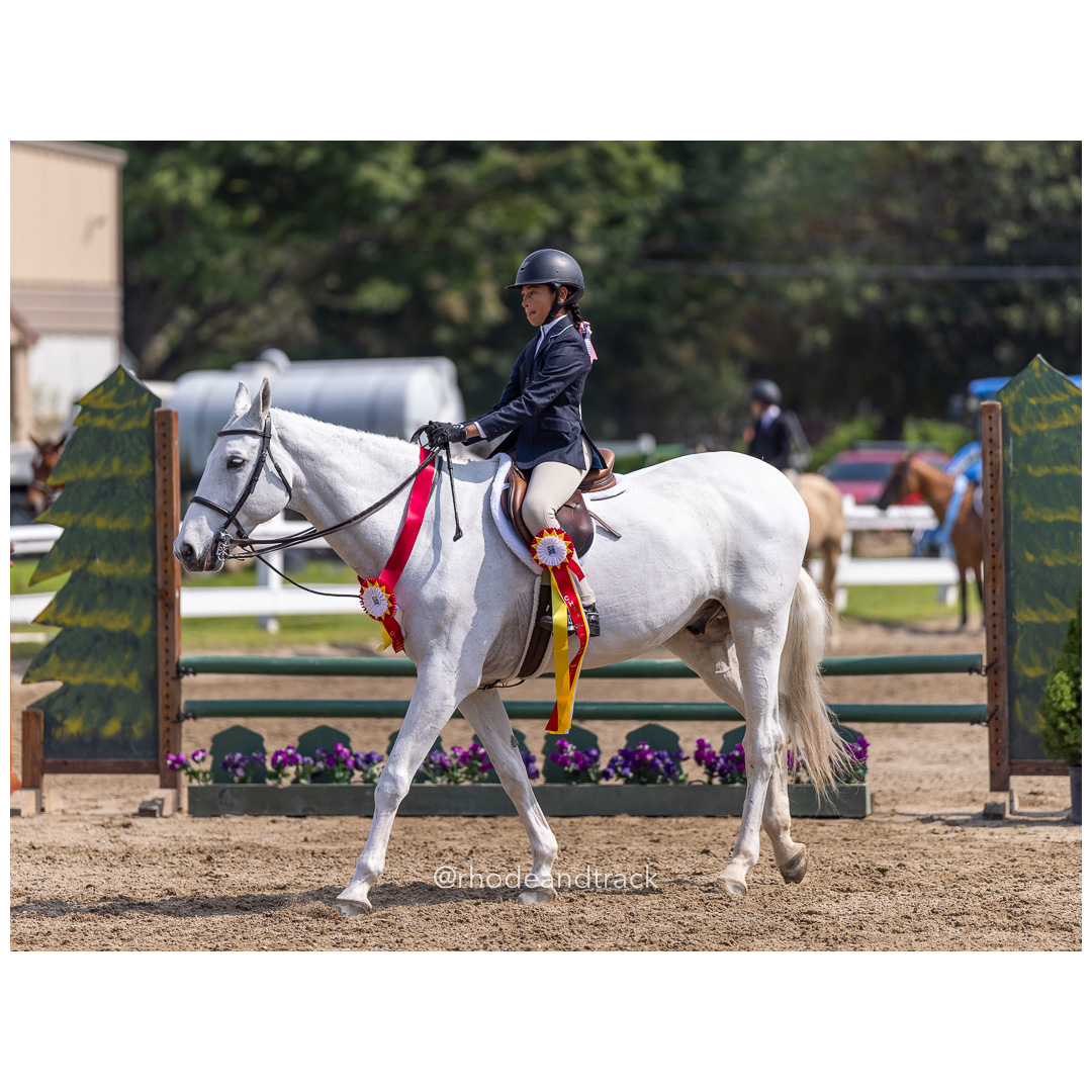 Connecticut Horse Show Association CHSA Finals - Westbrook, CT - August 25, 2024 File: ./240825-CHSA-Finals-Westbrook-Hunt-Club-August-25-2024-westbrook-connecticut-51-_U1A1518.jpg Connecticut Horse Show Association CHSA Finals - Westbrook, CT - August 25, 2024 – Gallery – bib #25