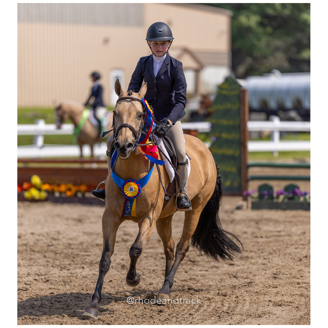 Connecticut Horse Show Association CHSA Finals - Westbrook, CT - August 25, 2024 File: ./240825-CHSA-Finals-Westbrook-Hunt-Club-August-25-2024-westbrook-connecticut-52-_U1A1549.jpg Connecticut Horse Show Association CHSA Finals - Westbrook, CT - August 25, 2024 – Gallery – bib #25