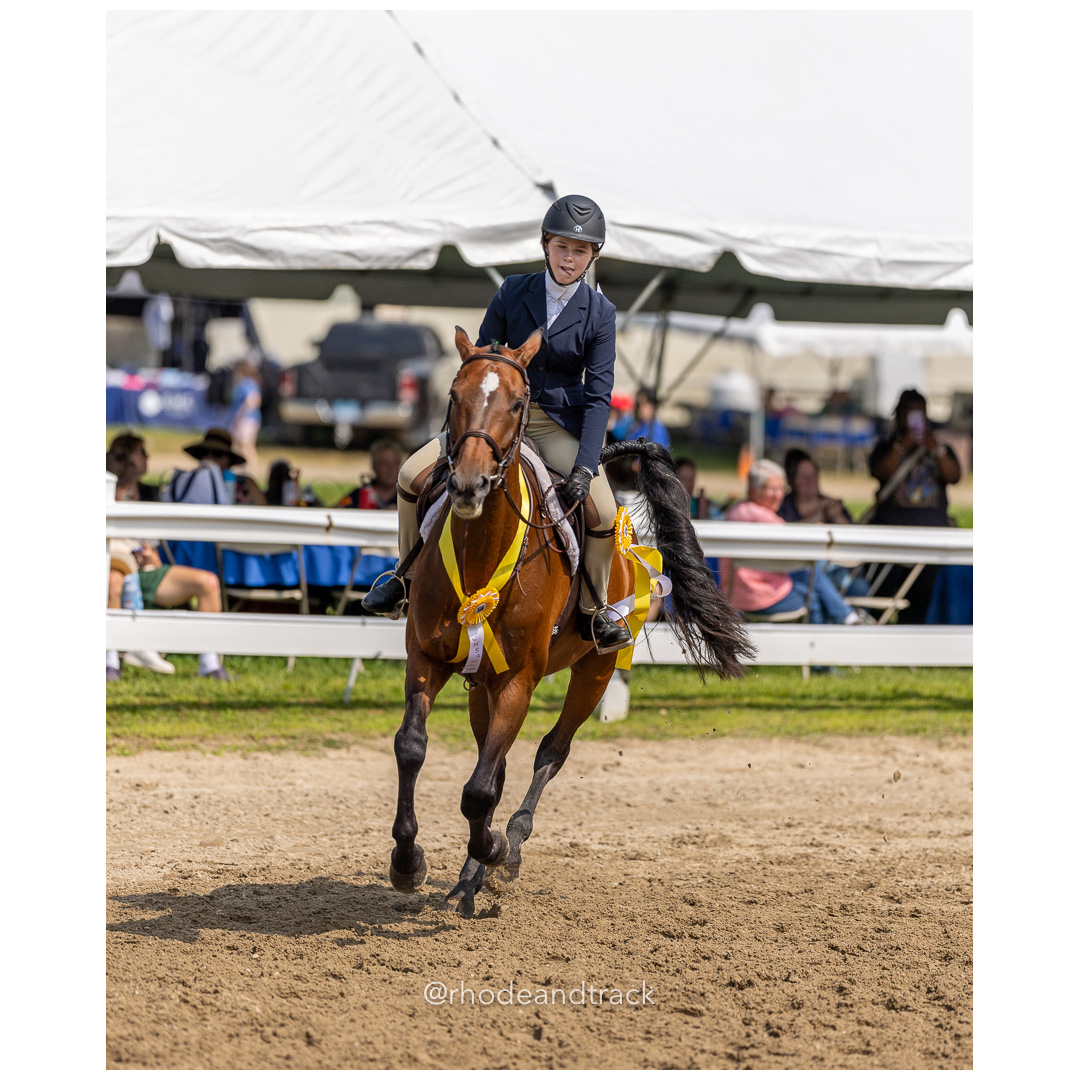 Connecticut Horse Show Association CHSA Finals - Westbrook, CT - August 25, 2024 File: ./240825-CHSA-Finals-Westbrook-Hunt-Club-August-25-2024-westbrook-connecticut-53-_U1A1560.jpg Connecticut Horse Show Association CHSA Finals - Westbrook, CT - August 25, 2024 – Gallery – bib #25