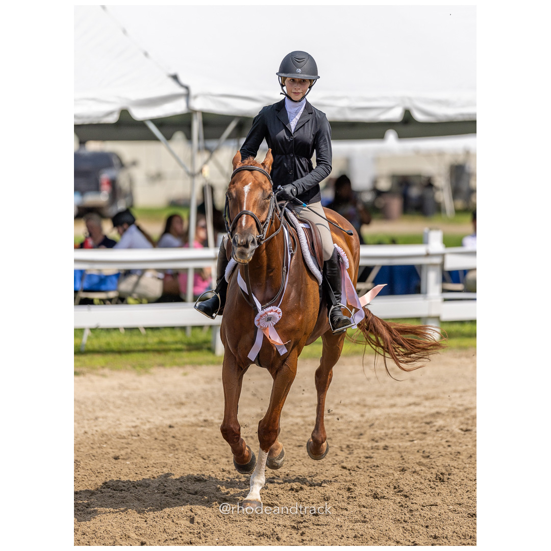 Connecticut Horse Show Association CHSA Finals - Westbrook, CT - August 25, 2024 File: ./240825-CHSA-Finals-Westbrook-Hunt-Club-August-25-2024-westbrook-connecticut-54-_U1A1570.jpg Connecticut Horse Show Association CHSA Finals - Westbrook, CT - August 25, 2024 – Gallery – bib #25