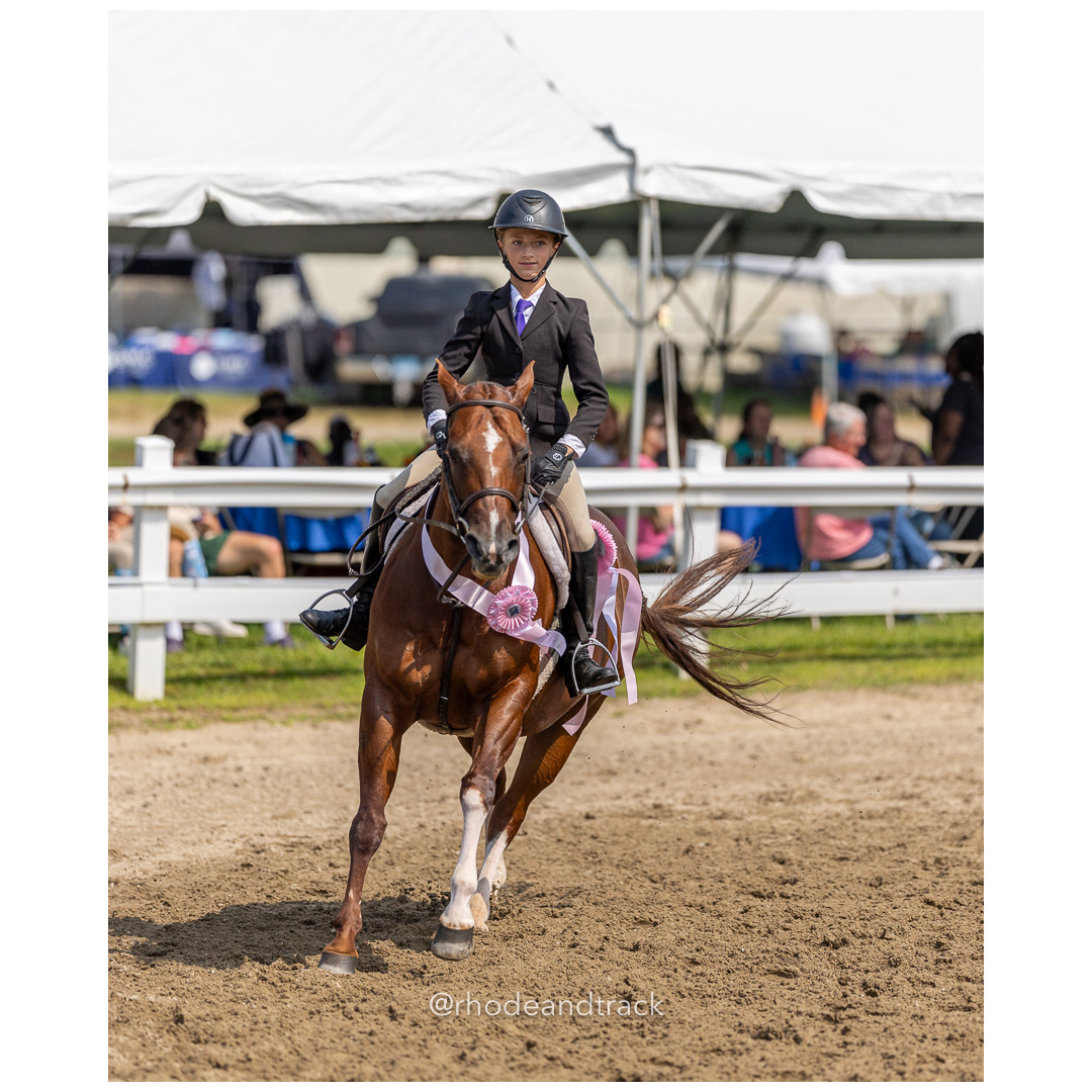 Connecticut Horse Show Association CHSA Finals - Westbrook, CT - August 25, 2024 File: ./240825-CHSA-Finals-Westbrook-Hunt-Club-August-25-2024-westbrook-connecticut-55-_U1A1576.jpg Connecticut Horse Show Association CHSA Finals - Westbrook, CT - August 25, 2024 – Gallery – bib #25