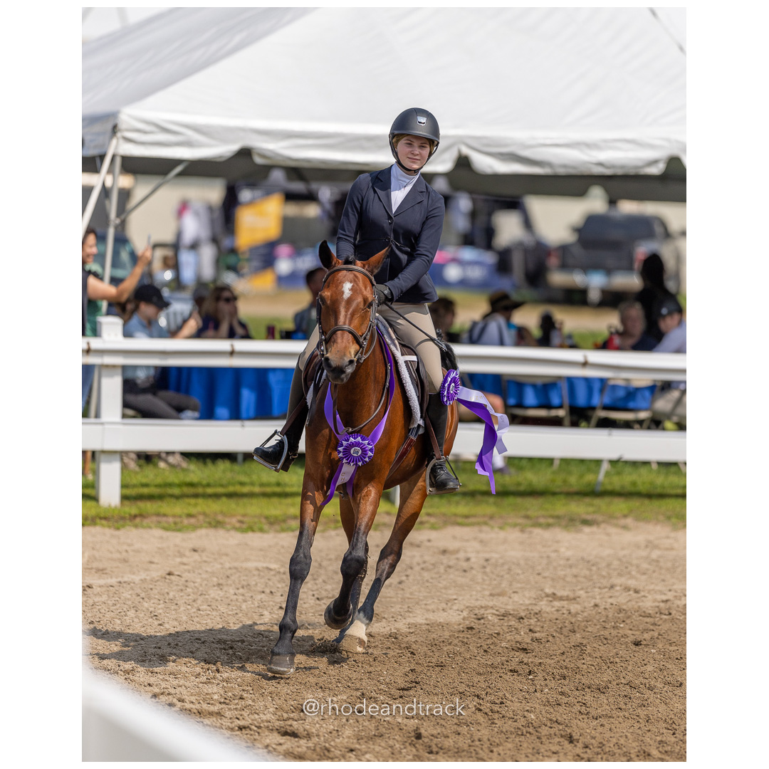 Connecticut Horse Show Association CHSA Finals - Westbrook, CT - August 25, 2024 File: ./240825-CHSA-Finals-Westbrook-Hunt-Club-August-25-2024-westbrook-connecticut-57-_U1A1596.jpg Connecticut Horse Show Association CHSA Finals - Westbrook, CT - August 25, 2024 – Gallery – bib #25