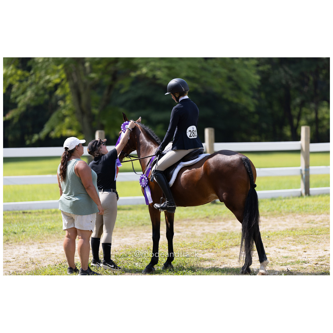 Connecticut Horse Show Association CHSA Finals - Westbrook, CT - August 25, 2024 File: ./240825-CHSA-Finals-Westbrook-Hunt-Club-August-25-2024-westbrook-connecticut-62-_U1A1643.jpg Connecticut Horse Show Association CHSA Finals - Westbrook, CT - August 25, 2024 – Gallery – bib #25