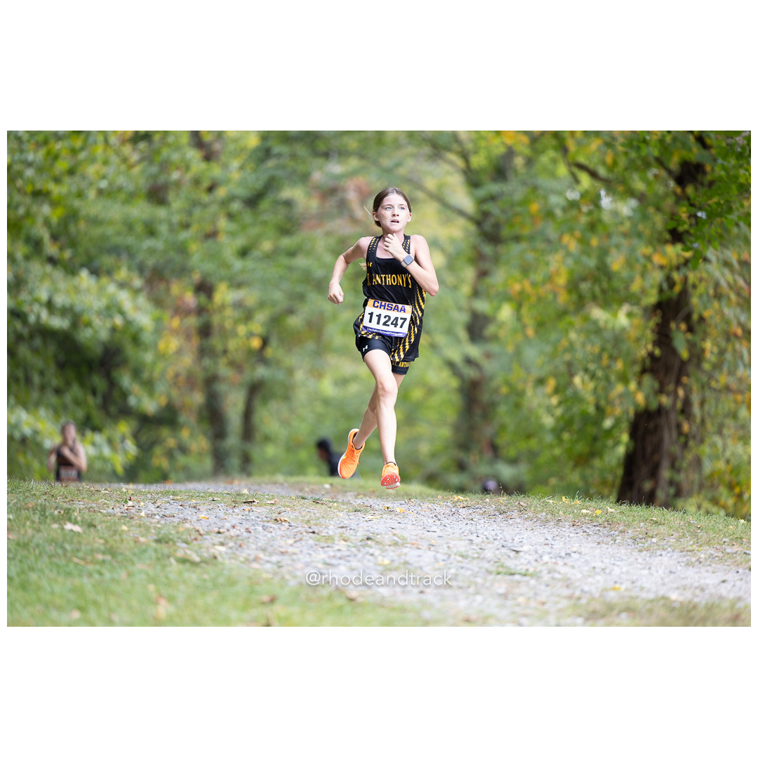 240928 cross country Bowdoin XC Classic Invitational Wappingers Falls NY September 28 2024 33 062A1433 File: ./dir-girls-freshman/240928-cross-country-Bowdoin-XC-Classic-Invitational-Wappingers-Falls-NY-September-28-2024-33-062A1433.jpg 240928 cross country Bowdoin XC Classic Invitational Wappingers Falls NY September 28 2024 33 062A1433 – High School Cross Country – Sep 28…
