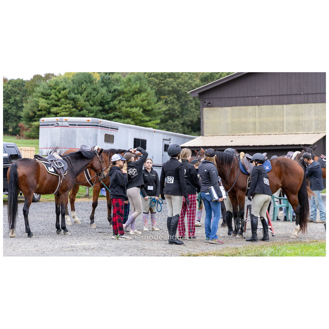 Interscholastic Equestrian Association - Prospect Hill Farm - North Smithfield, RI - September 29, 2024 title=
