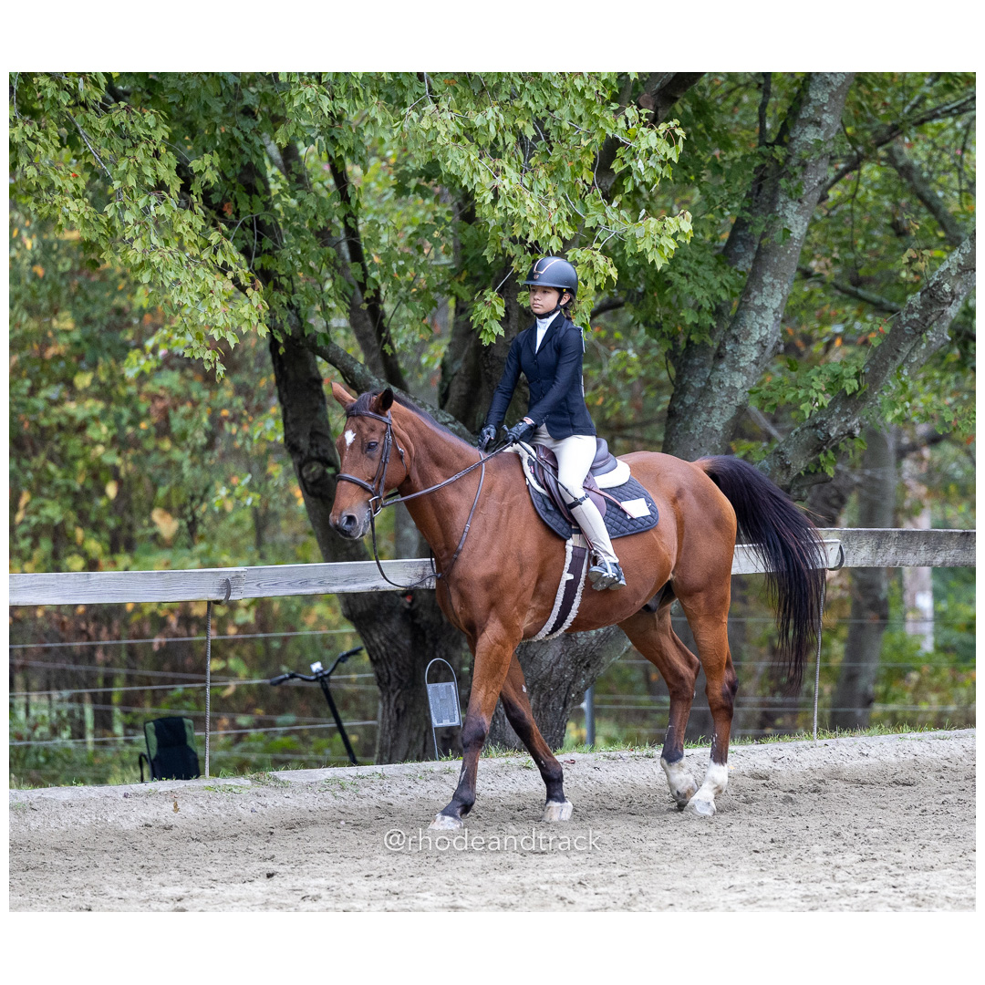 Interscholastic Equestrian Association - Prospect Hill Farm - North Smithfield, RI - September 29, 2024 title=
