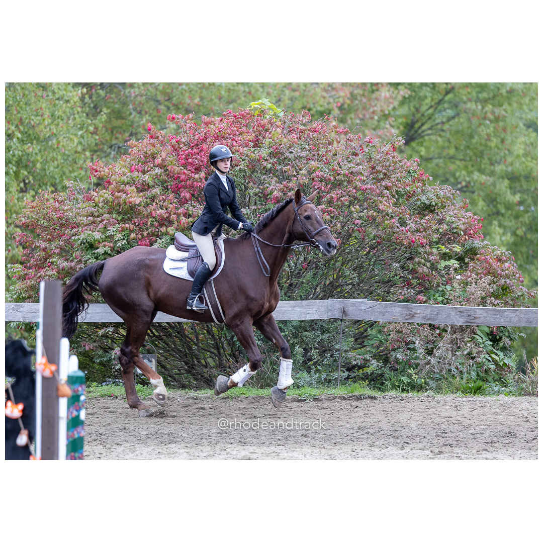 Interscholastic Equestrian Association - Prospect Hill Farm - North Smithfield, RI - September 29, 2024 title=