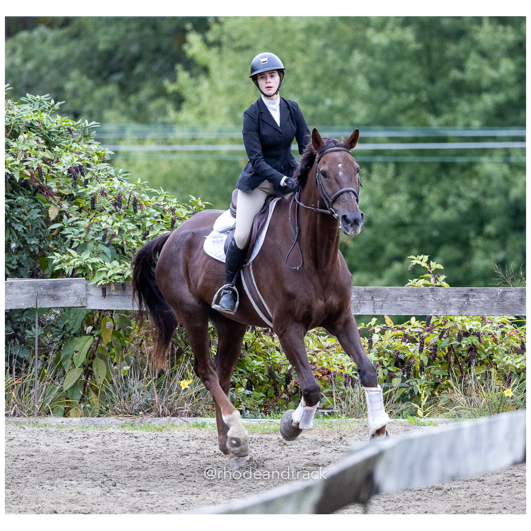 Interscholastic Equestrian Association - Prospect Hill Farm - North Smithfield, RI - September 29, 2024 title=