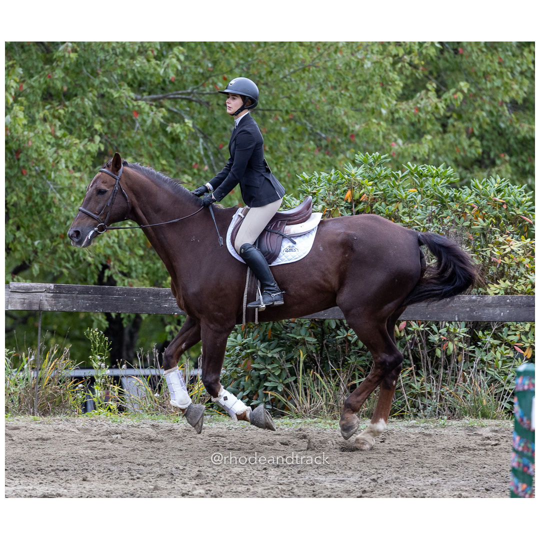 Interscholastic Equestrian Association - Prospect Hill Farm - North Smithfield, RI - September 29, 2024 title=