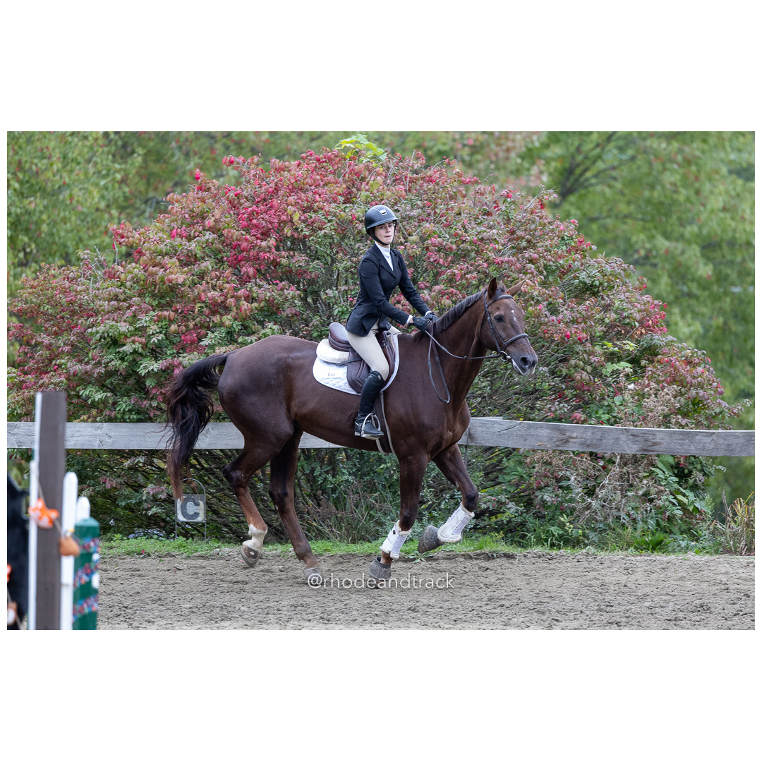 Interscholastic Equestrian Association - Prospect Hill Farm - North Smithfield, RI - September 29, 2024 title=