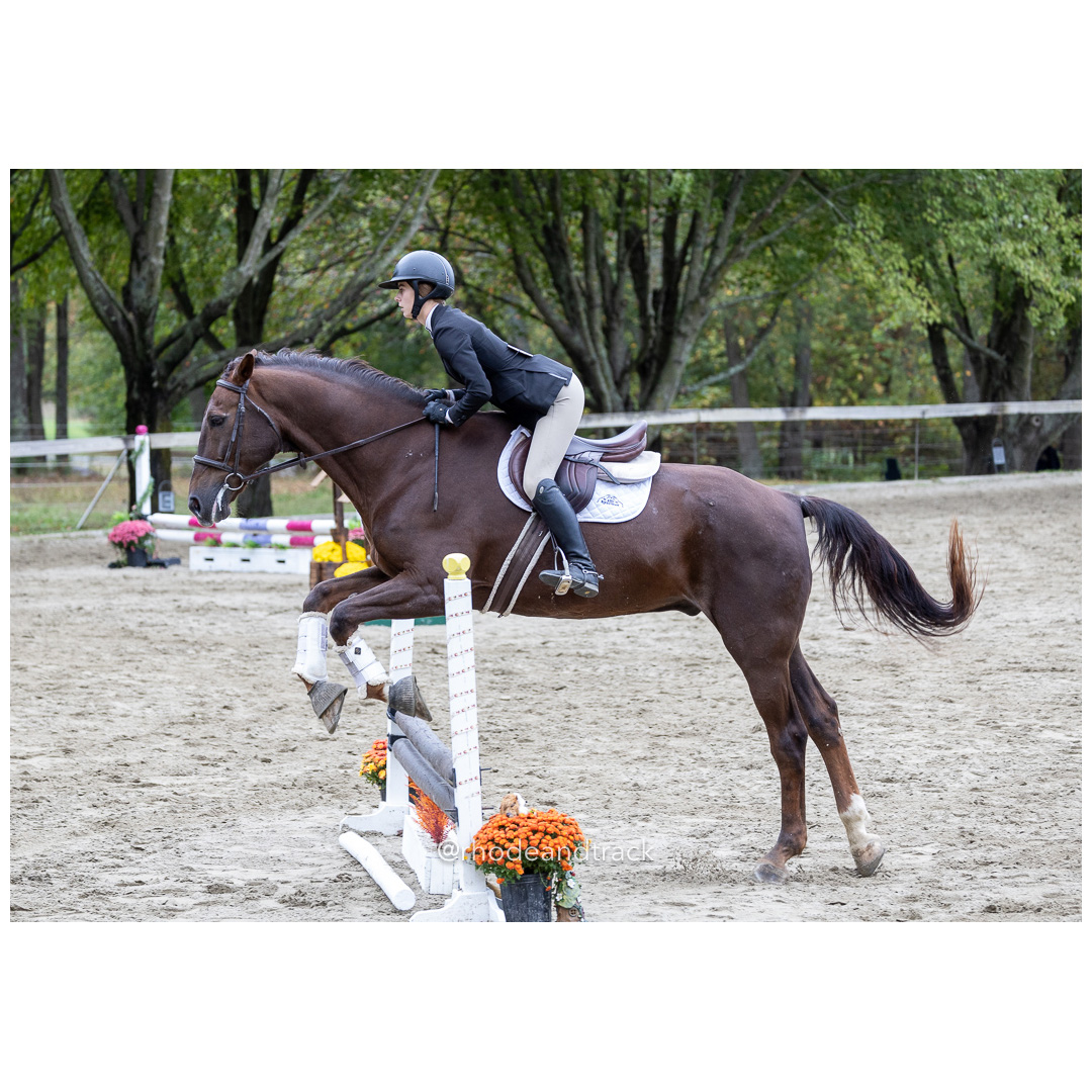 Interscholastic Equestrian Association - Prospect Hill Farm - North Smithfield, RI - September 29, 2024 title=