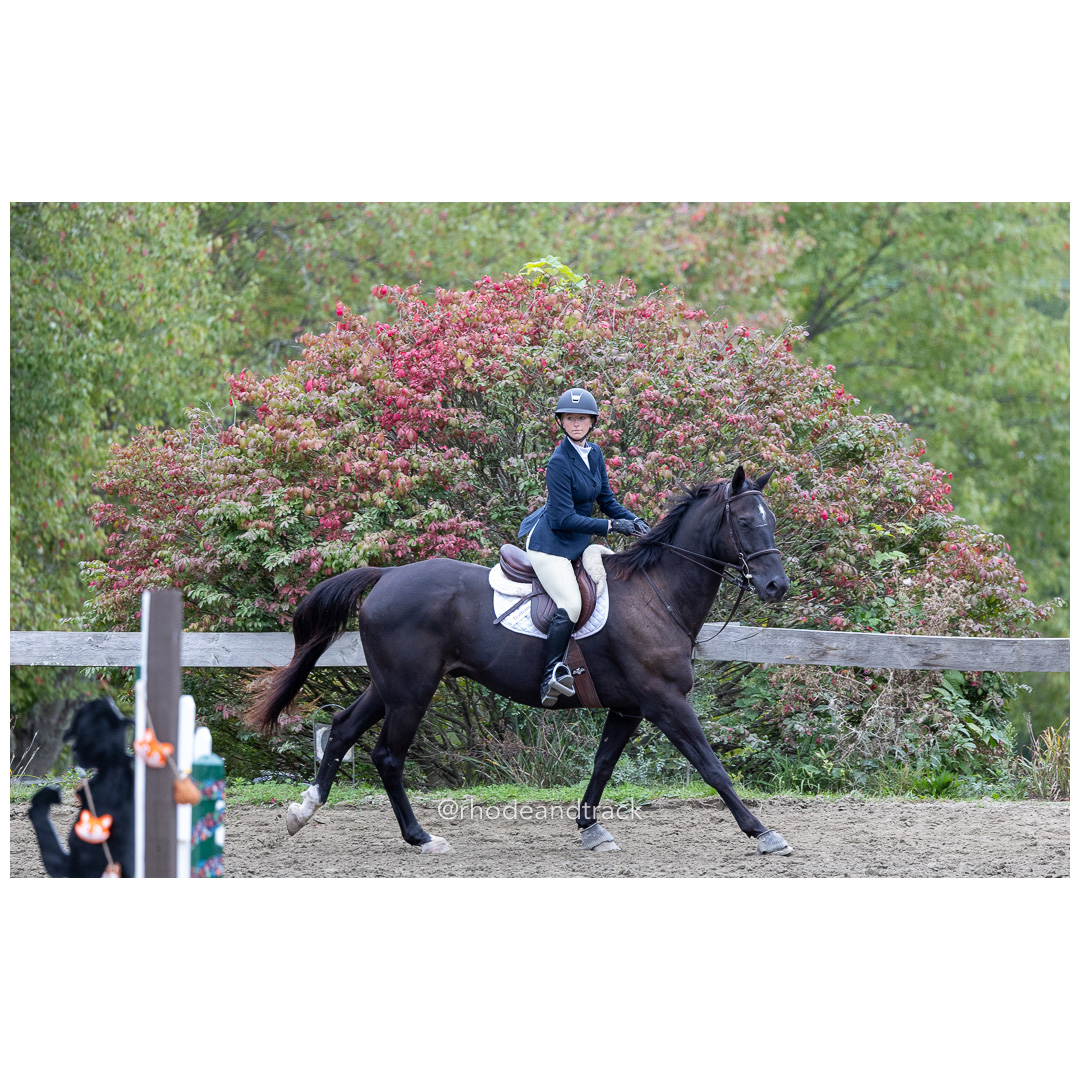 Interscholastic Equestrian Association - Prospect Hill Farm - North Smithfield, RI - September 29, 2024 title=