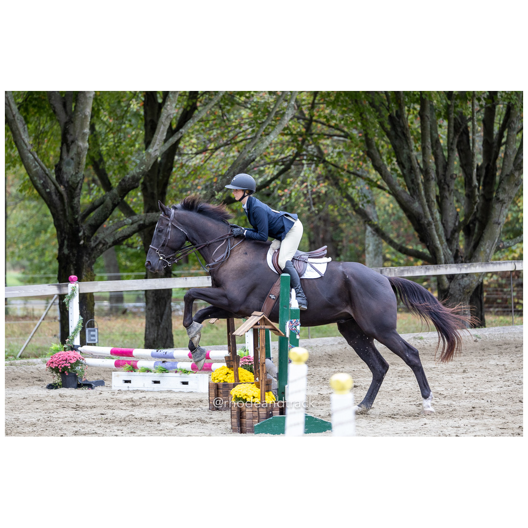 Interscholastic Equestrian Association - Prospect Hill Farm - North Smithfield, RI - September 29, 2024 title=