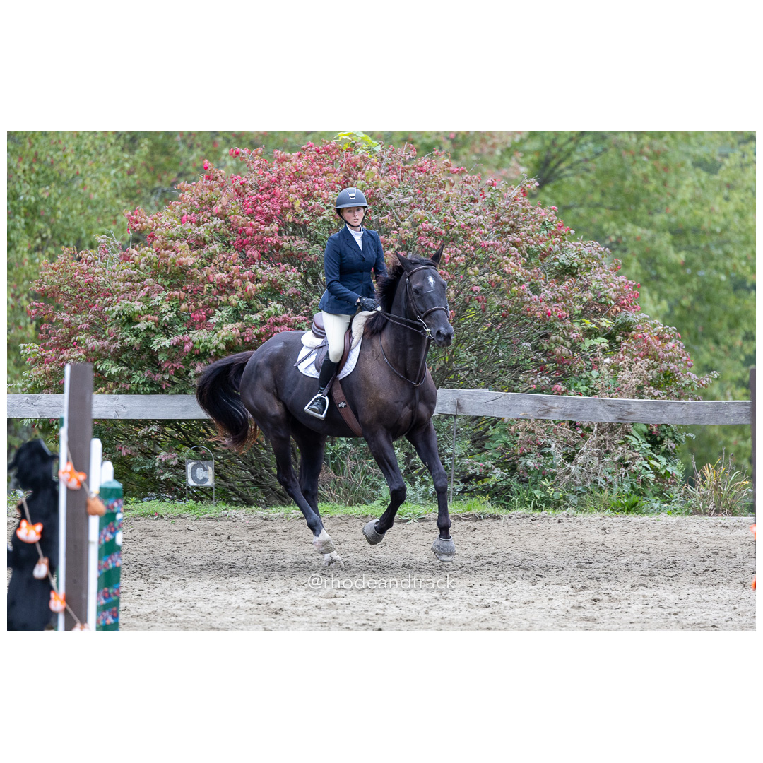 Interscholastic Equestrian Association - Prospect Hill Farm - North Smithfield, RI - September 29, 2024 title=
