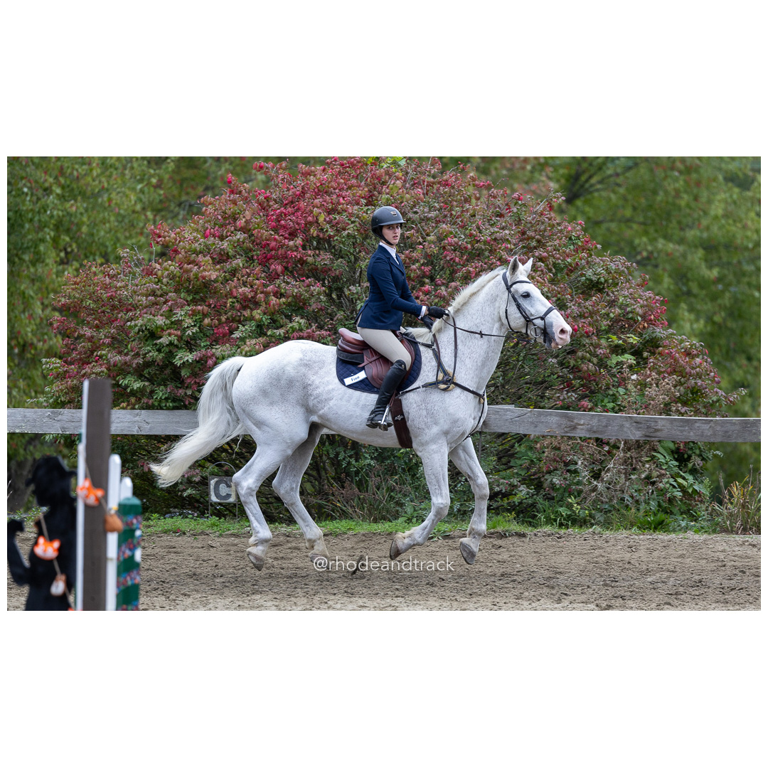 Interscholastic Equestrian Association - Prospect Hill Farm - North Smithfield, RI - September 29, 2024 title=