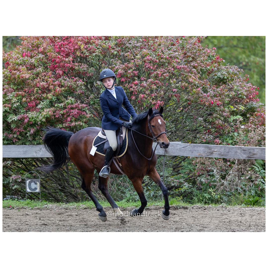 Interscholastic Equestrian Association - Prospect Hill Farm - North Smithfield, RI - September 29, 2024 title=