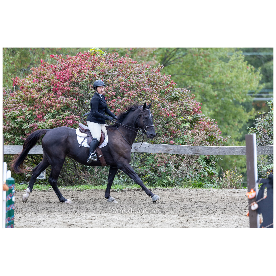 Interscholastic Equestrian Association - Prospect Hill Farm - North Smithfield, RI - September 29, 2024 title=