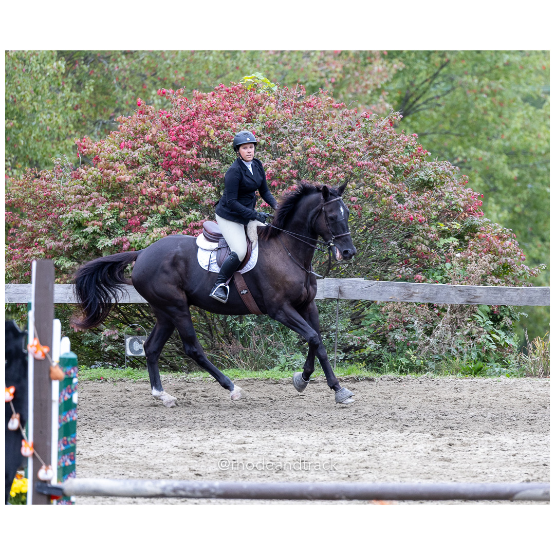 Interscholastic Equestrian Association - Prospect Hill Farm - North Smithfield, RI - September 29, 2024 title=